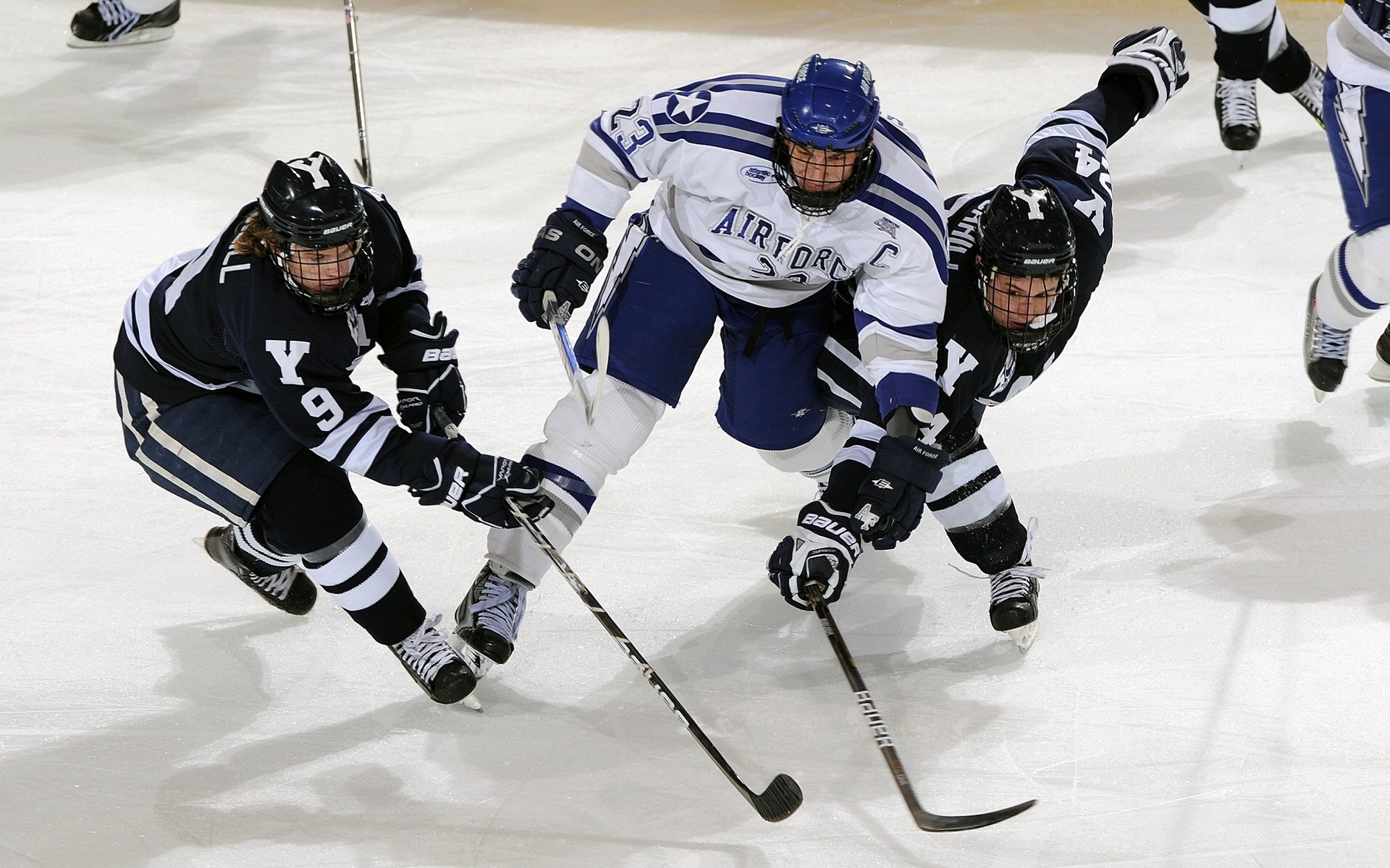 哲凯赖什是虐菜型前锋?费迪南德:能虐菜就够了啊